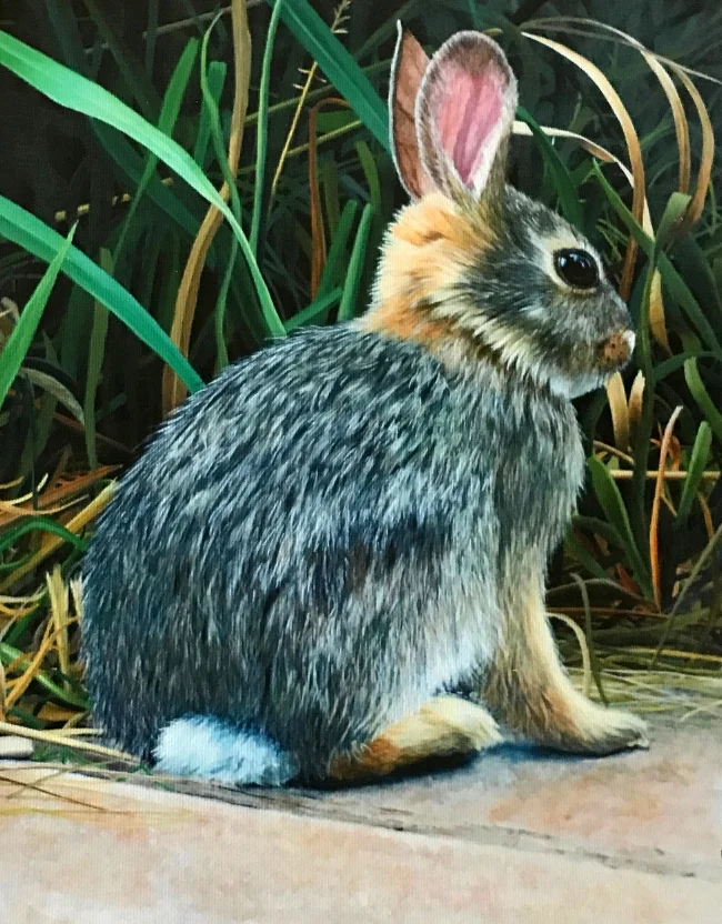 Spring Arrives on Tiny Feet