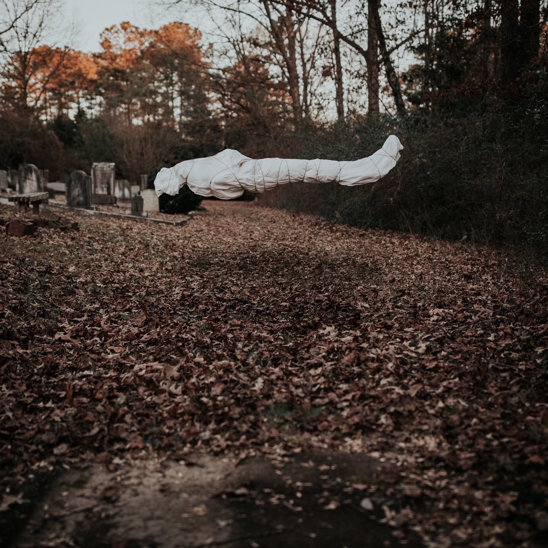 IMG_6022.jpeg