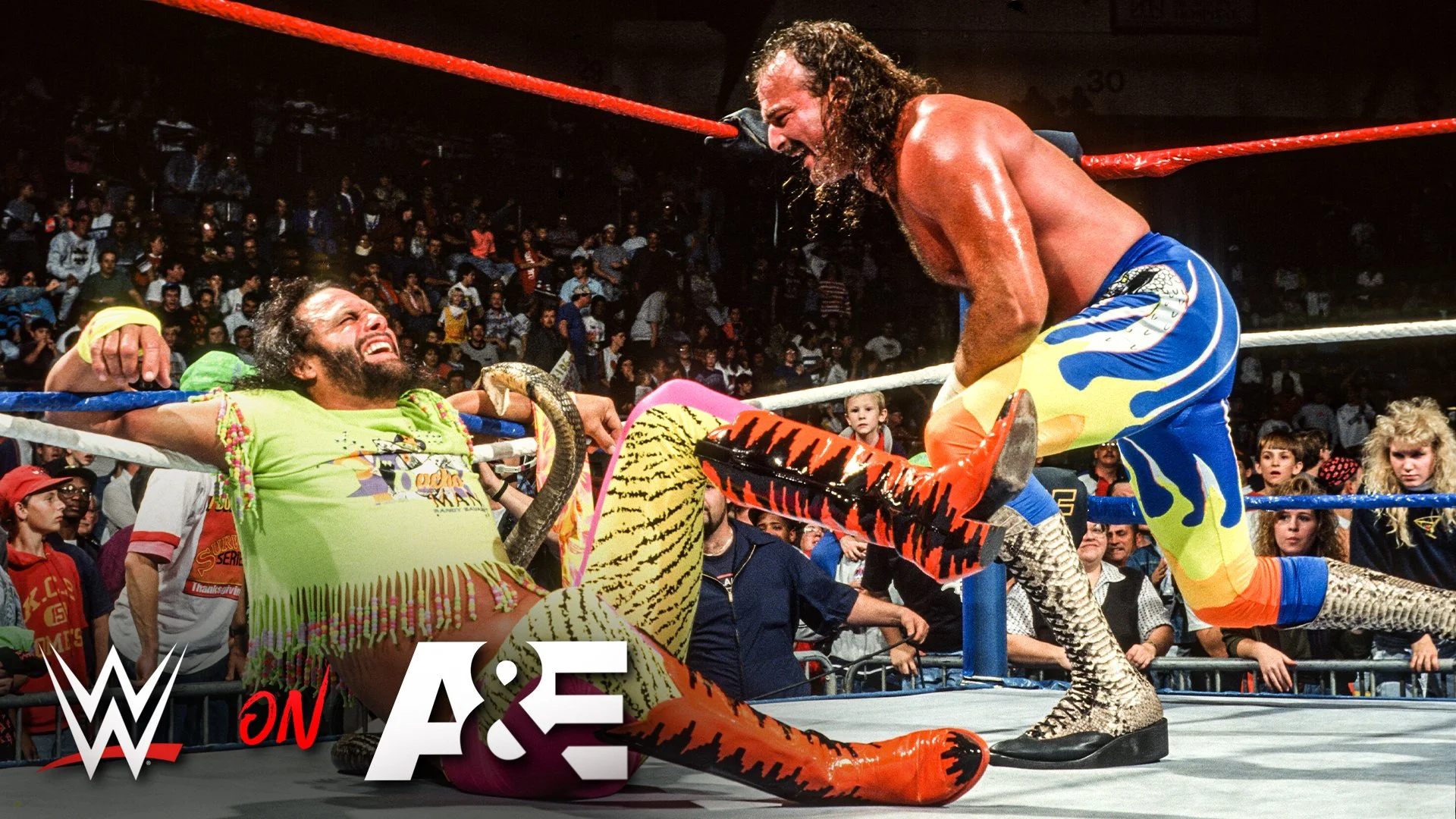 WWE Legends - Jake "The Snake" Roberts