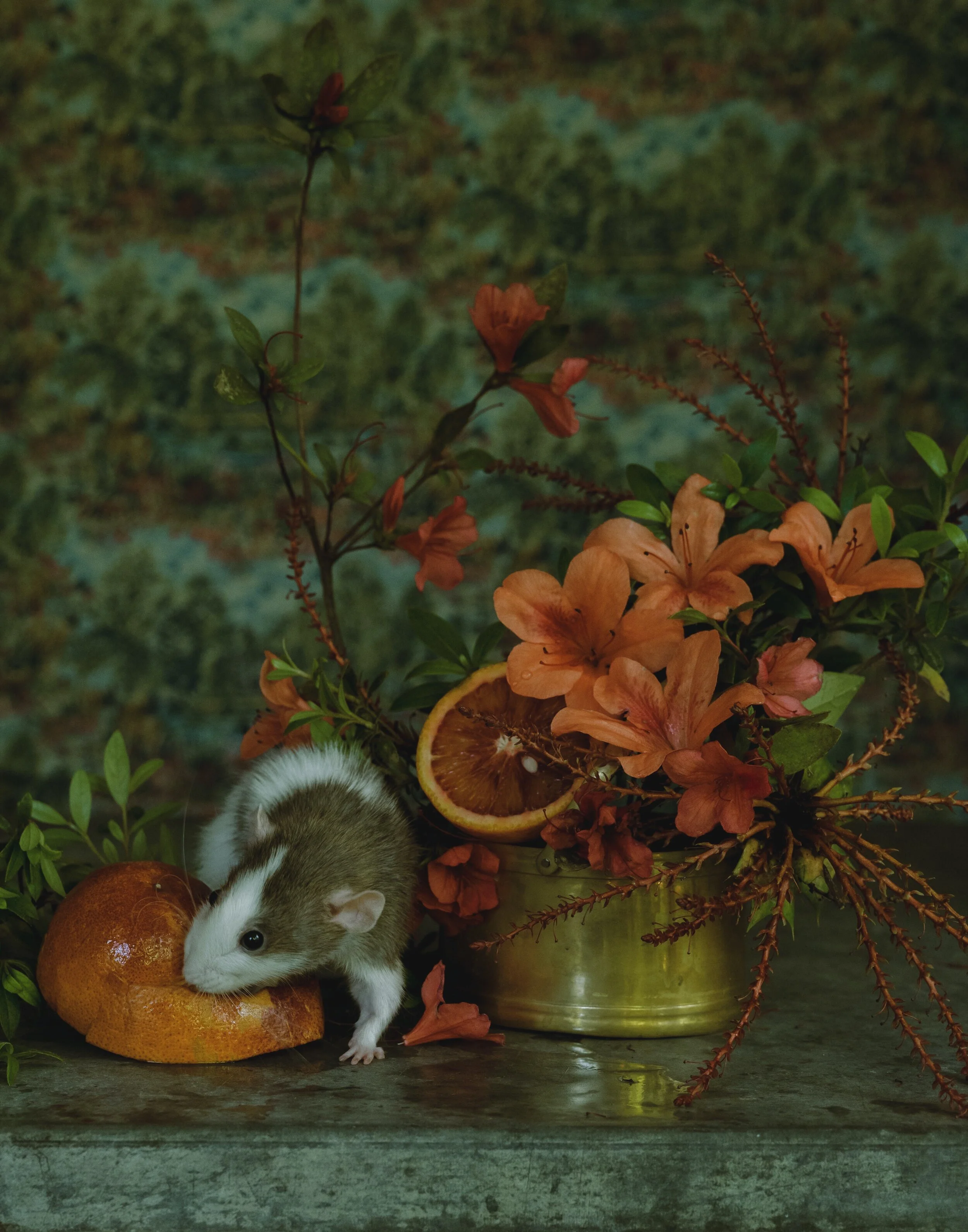 L1120234-Edit.jpg