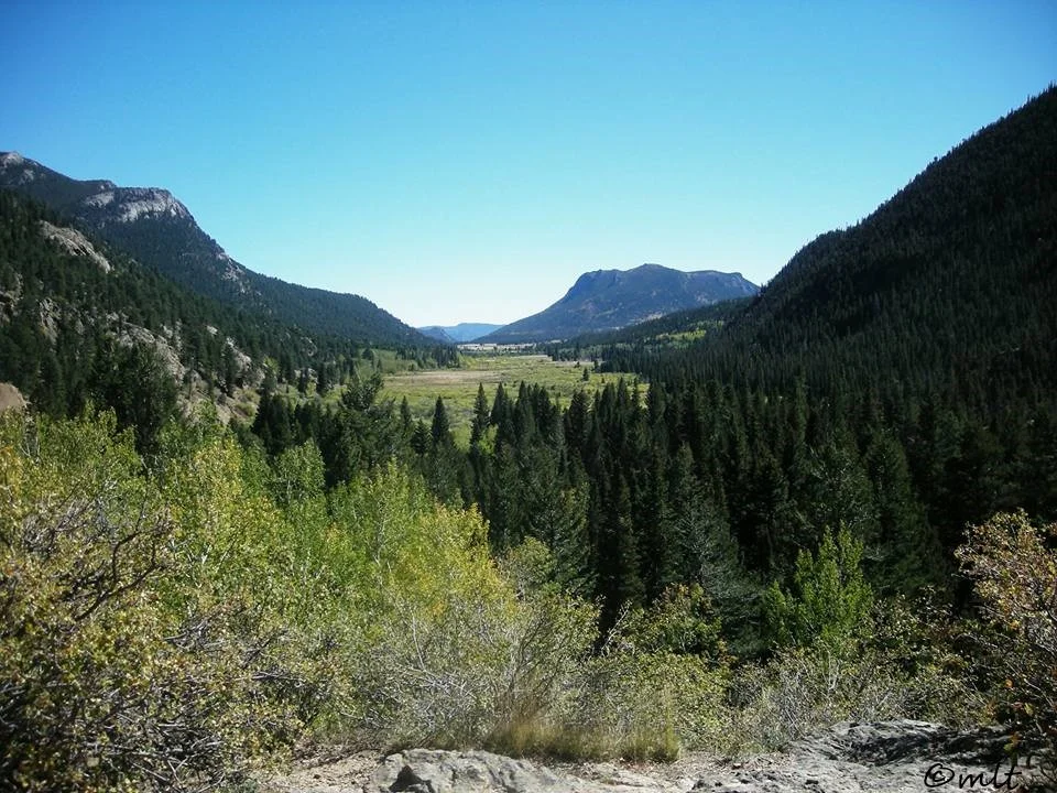 Horseshoe Park, Old Fall River Road - Rocky Mountain Safari Tour