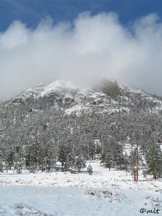 MacGregor Mountain - Rocky Mountain Safari Tour, Winter
