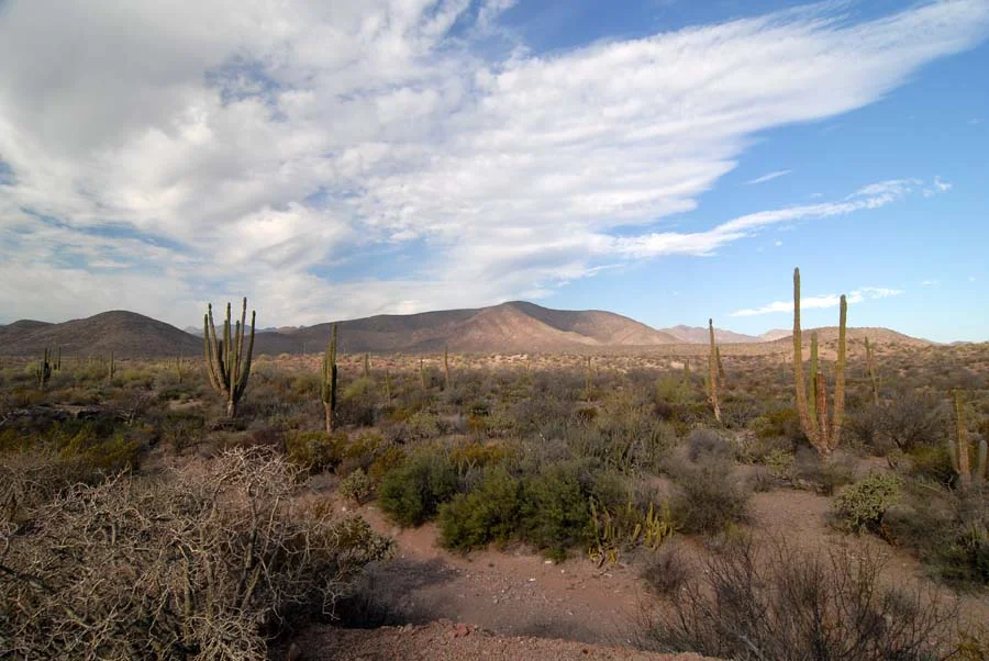 The Places of Baja