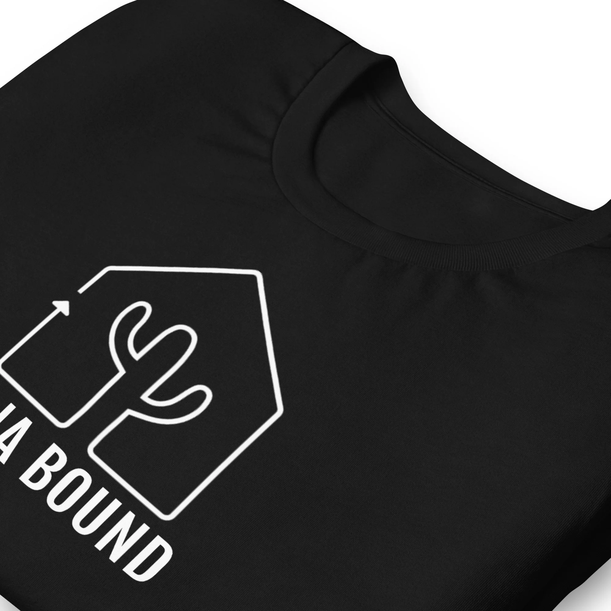 unisex-staple-t-shirt-black-zoomed-in-6206935e2450e.jpg