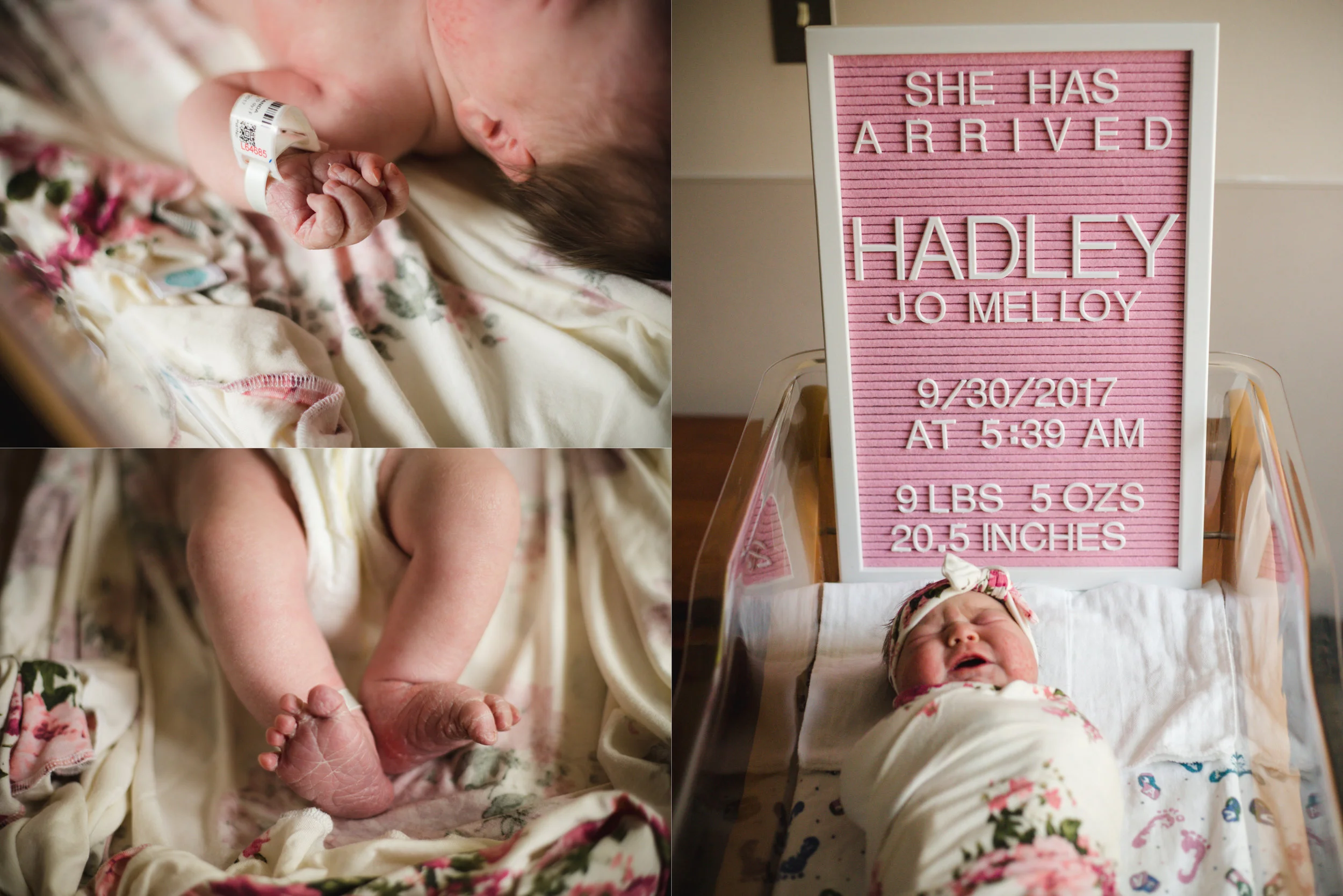 HadleySM-Blog1.jpg