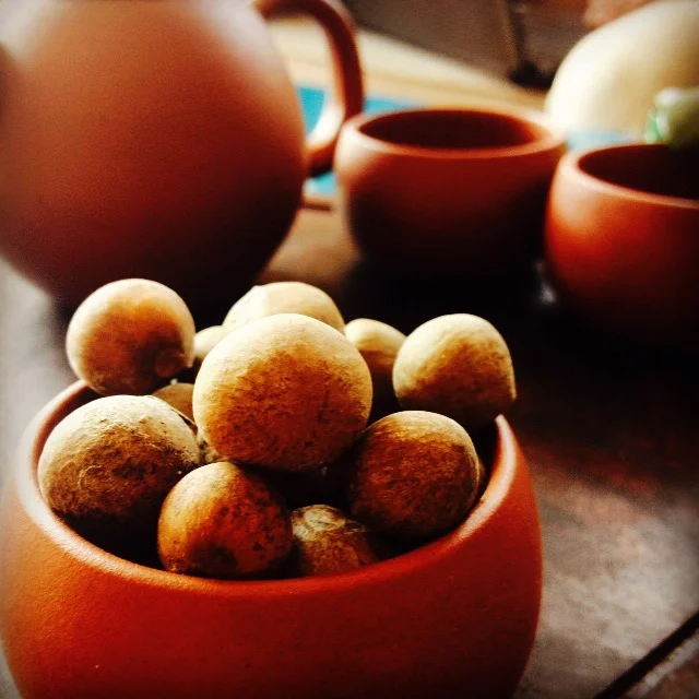 First tea seeds — a cold hardy seed from Georgia (south of Russia) parented by the cultivar “Kokhida”