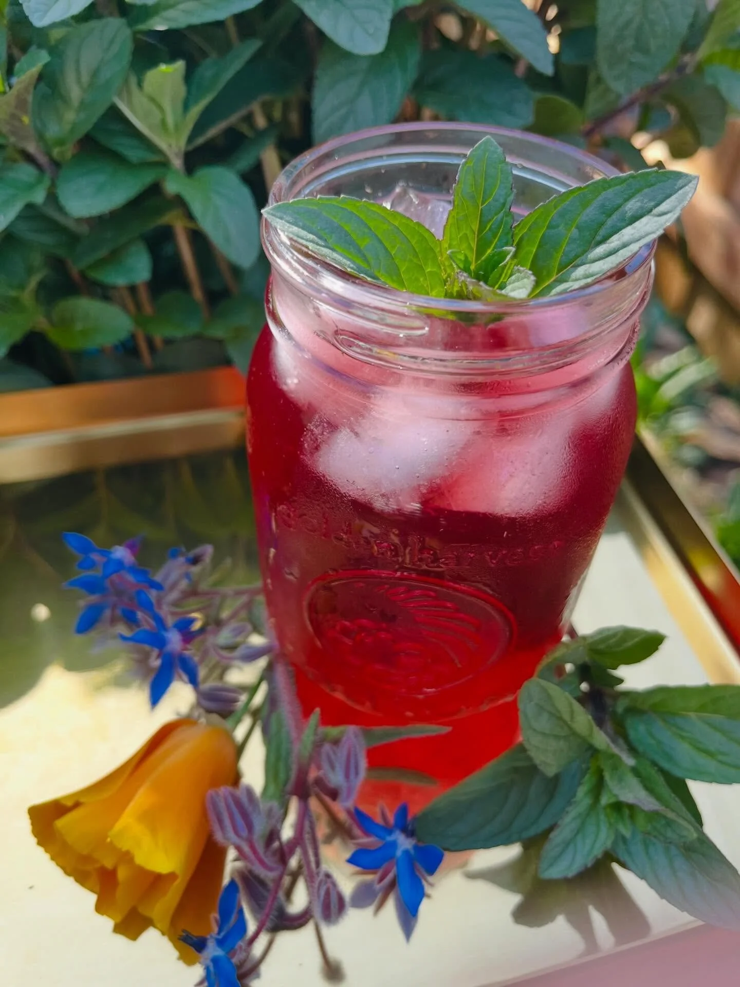We&rsquo;re coming into higher temps in the Gorge this week! (Supposed to be 80 today and tomorrow 🥵☀️)⁣
⁣
Which means, I&rsquo;m cold brewing Very Pinkish right now. This is our family go-to iced tea for the heat (and it&rsquo;s caffeine-free). Her