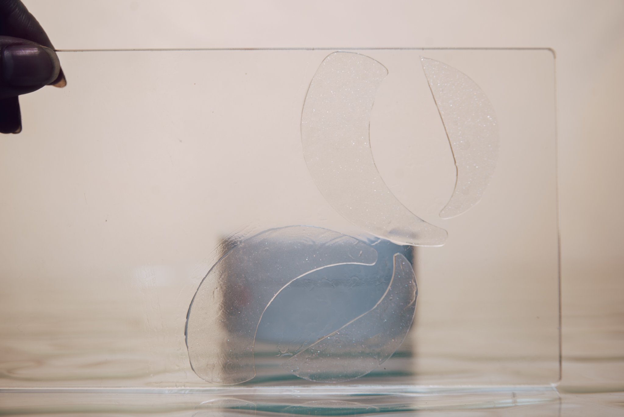 20190411-DSC_9377.jpg