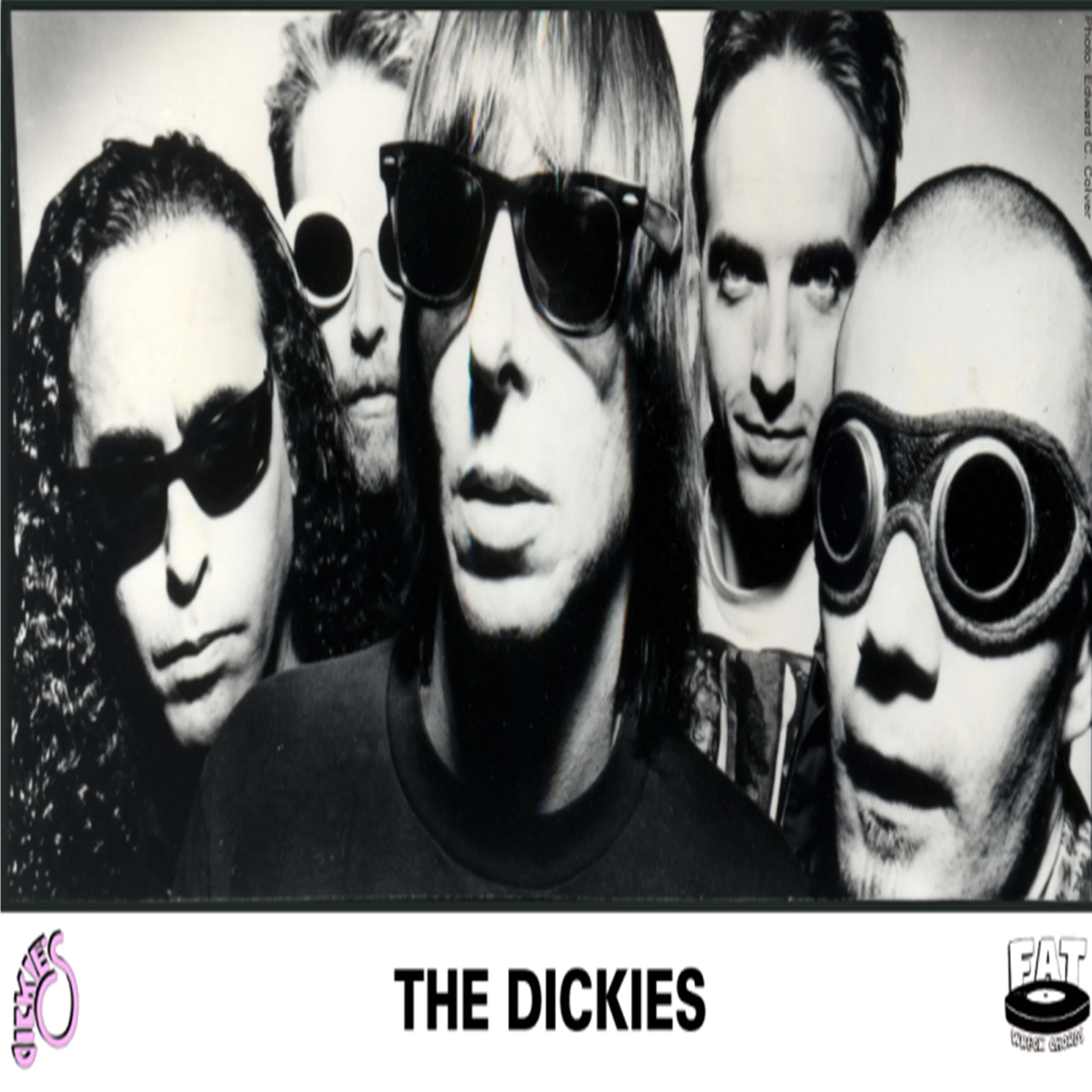 The Dickies pic.jpg