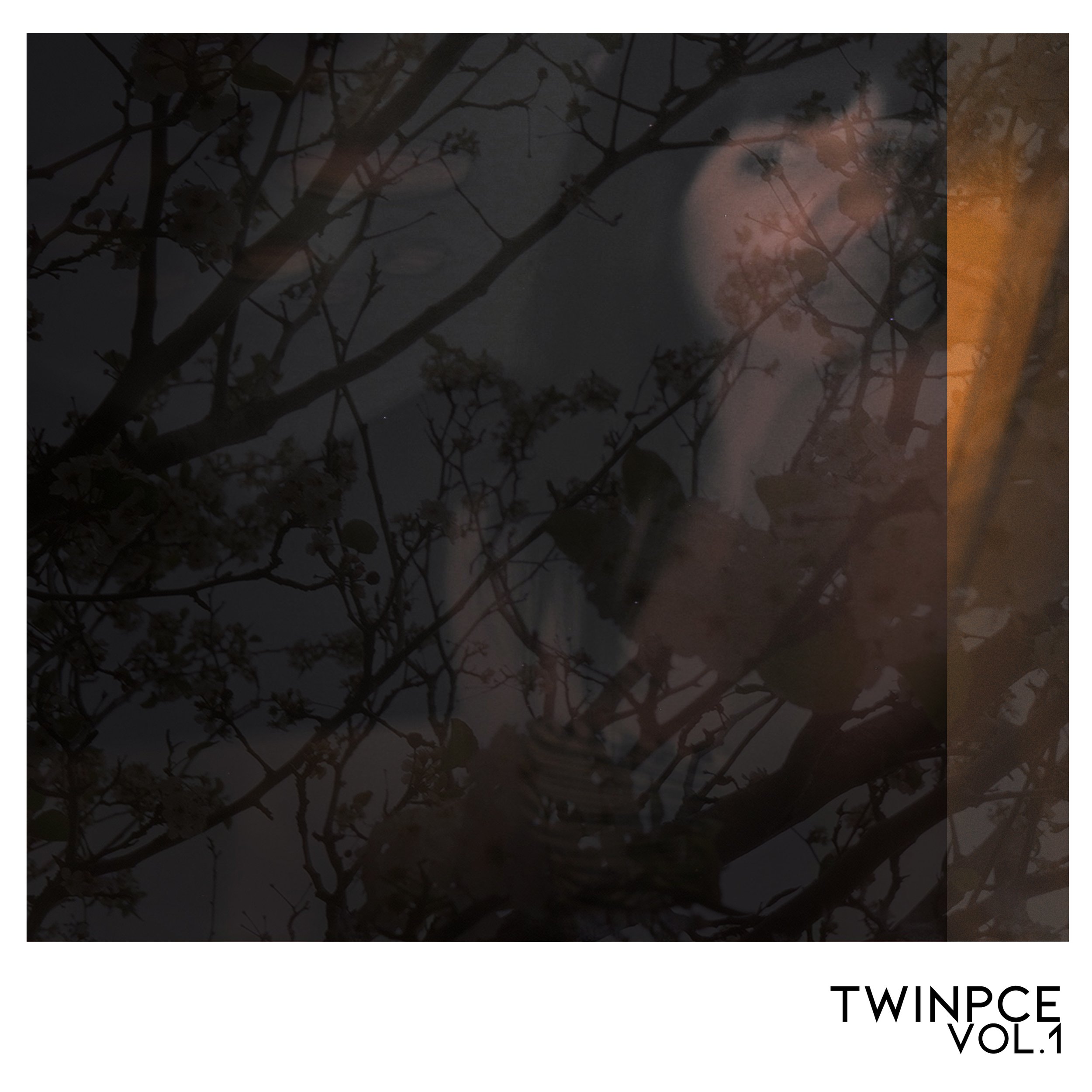 TWINPCE(Art)_Cover.jpg