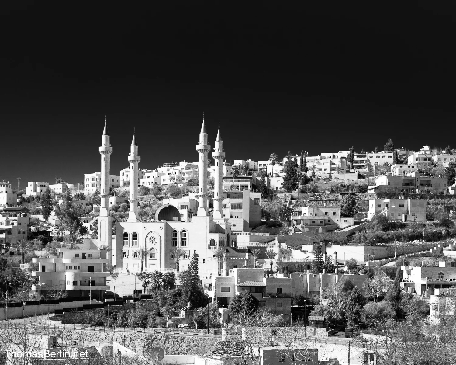 Thomas Berlin - Holy Land -1000249.jpg