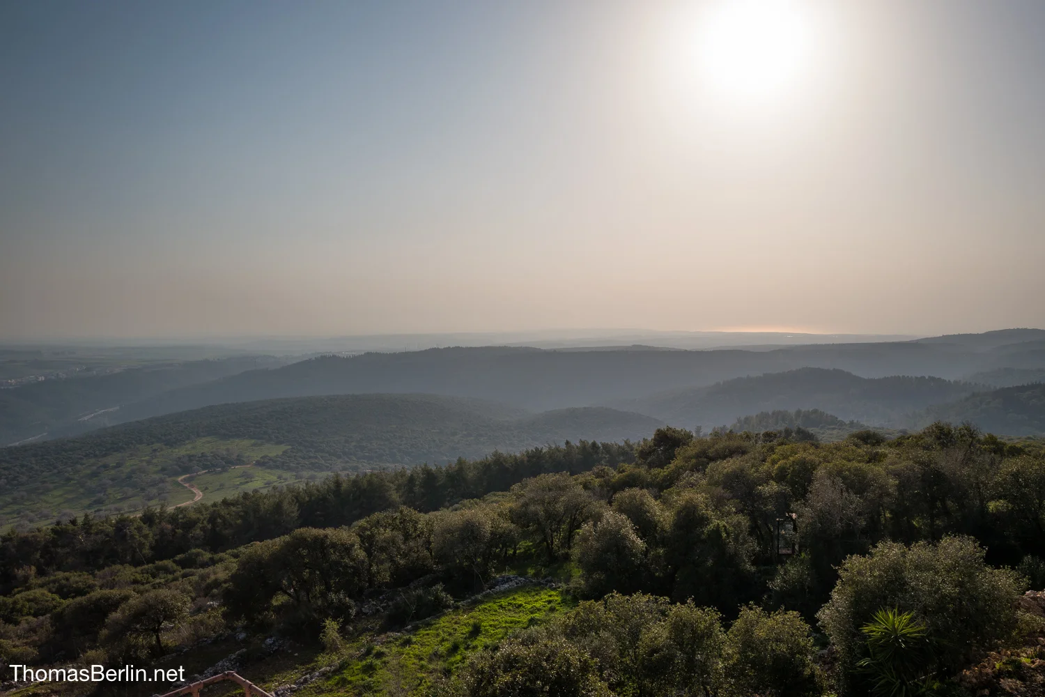 Thomas Berlin - Holy Land -1000679.jpg