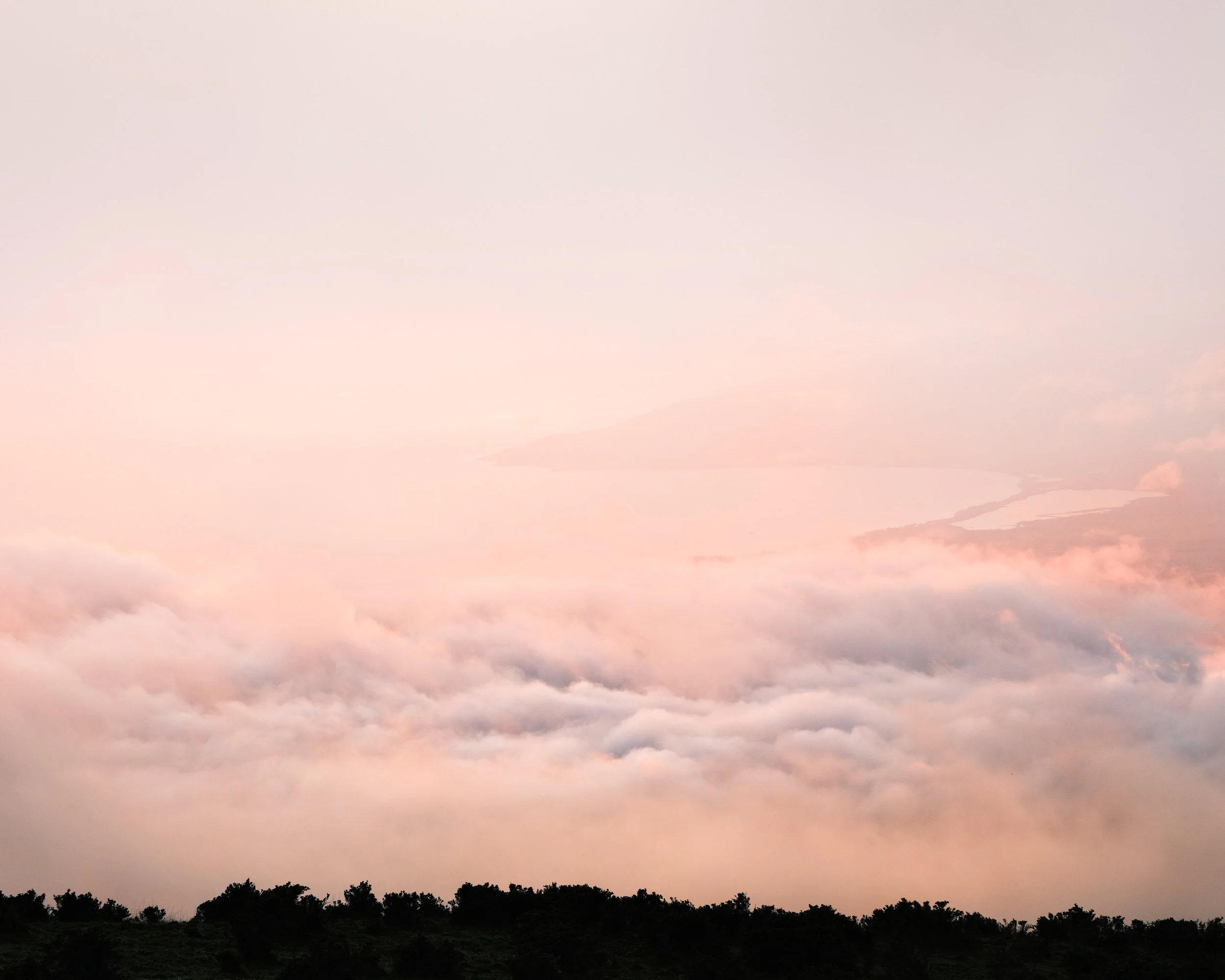 JUST ABOVE THE NOISE