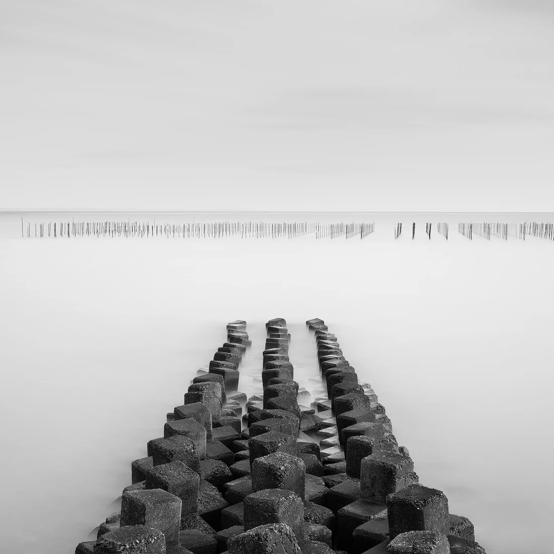BLOCKERS AND POSTS.1100PX.jpg