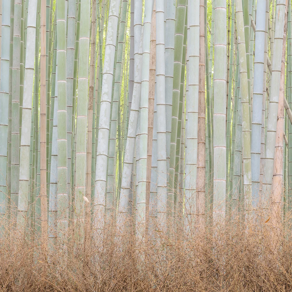 THE MEANING OF ZEN.1000PX.jpg