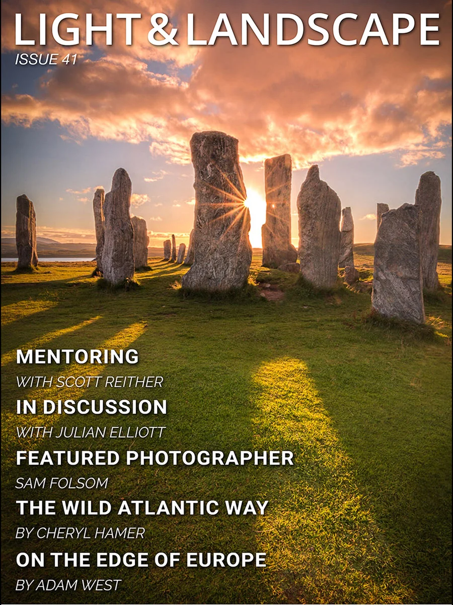 LIGHT AND LANDSCAPE COVER.jpg