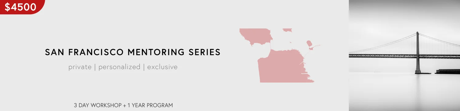 2019.SF MENTORING SERIES FLAG.jpg