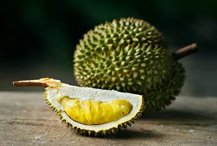 Durian fruit