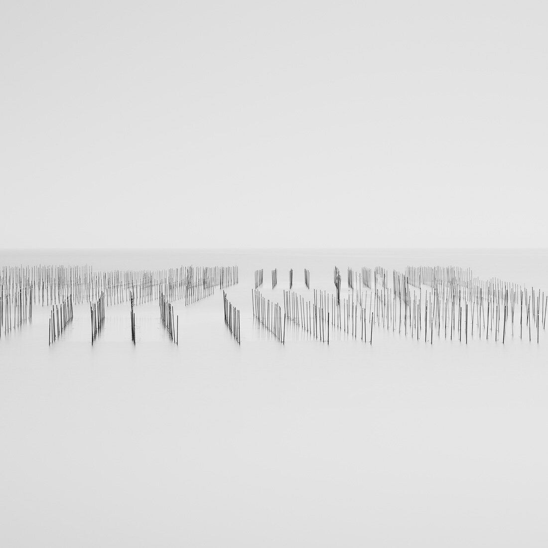 LAST BLURRING LINES.1100PX.jpg