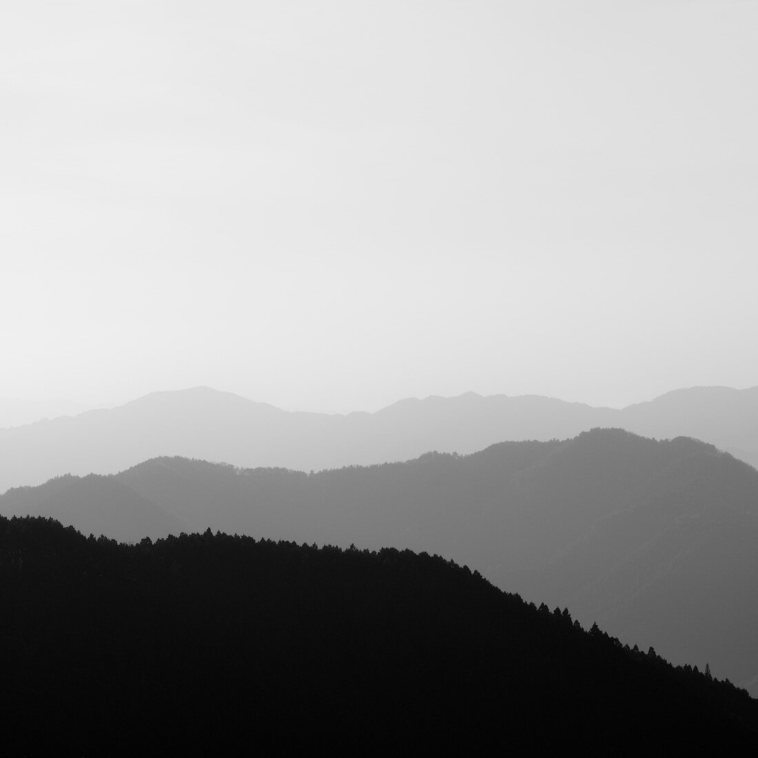 DISTANT HILLS.1100PX.jpg