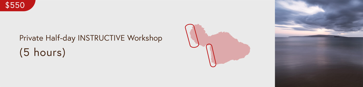 2019_WORKSHOP_MAUI_HEADER_HALF-DAY.MASTER.jpg