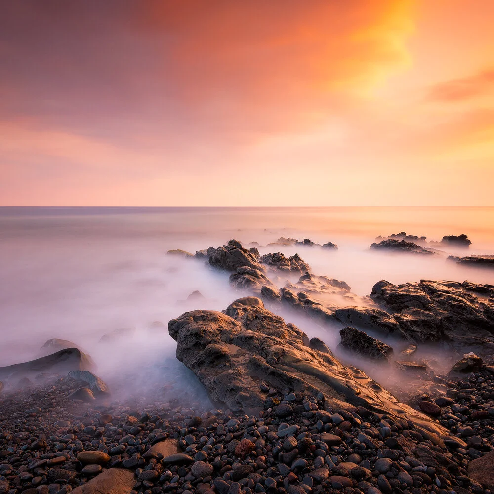 REVERIE.1000PX.jpg