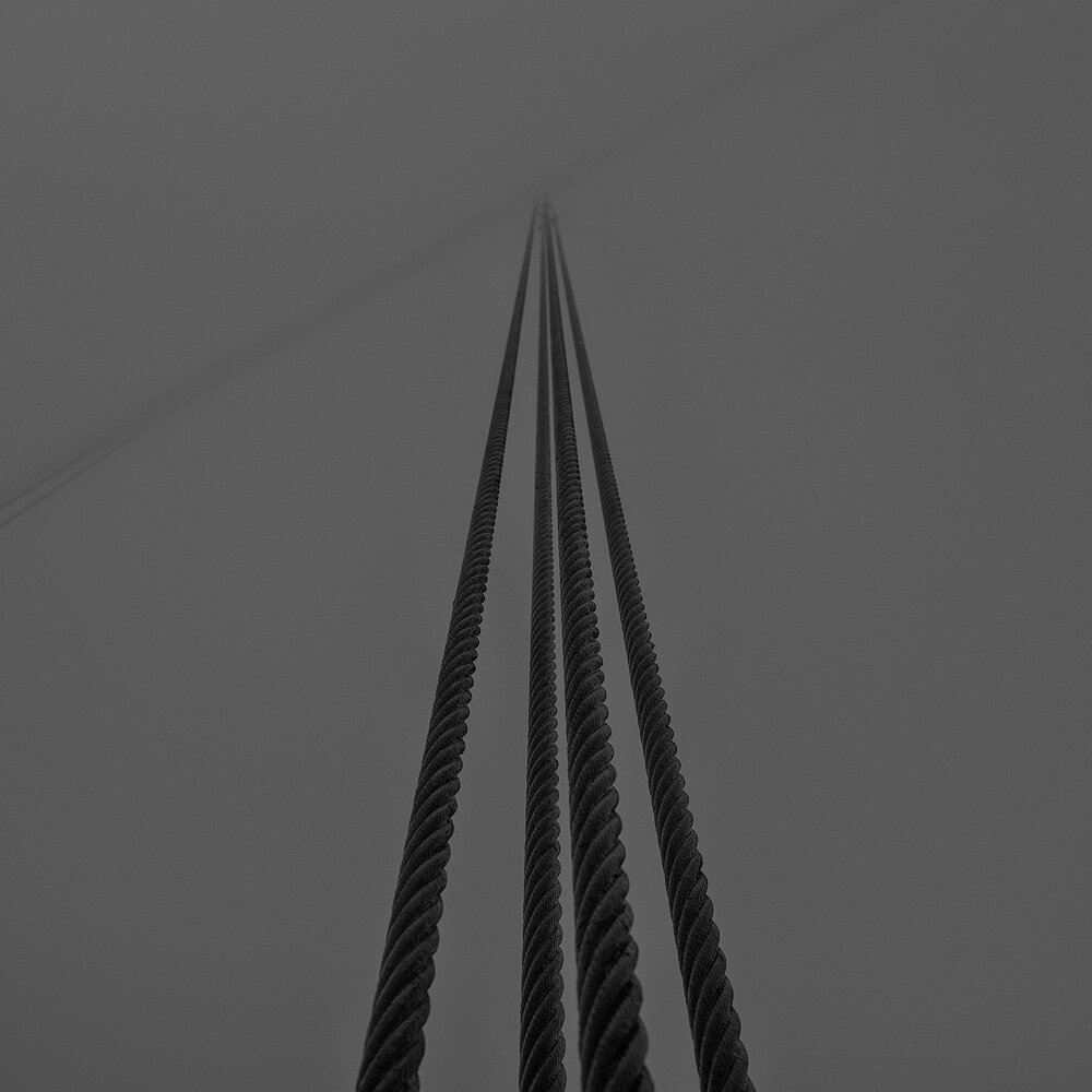 GG STUDY_UPRIGHT CABLES.1000PX.jpg