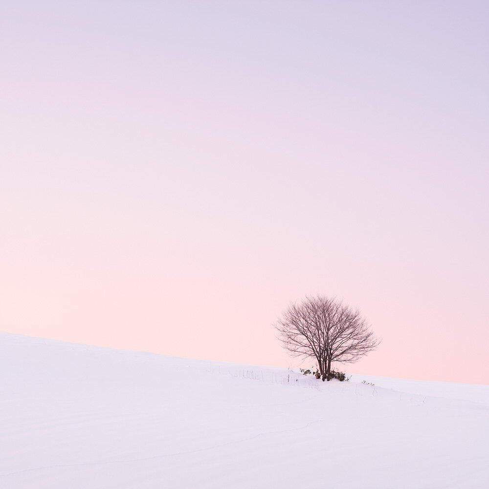 ONE TREE COOLING.1000PX.jpg