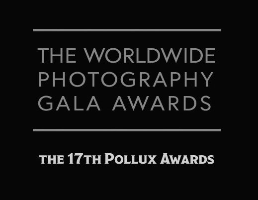 WORLDWIDE GALA POLLUX AWARDS LOGO_DARK.jpg