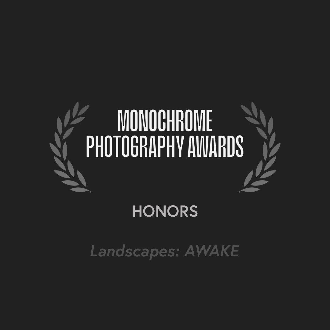 MONOCHROME AWARDS_AWAKE.jpg