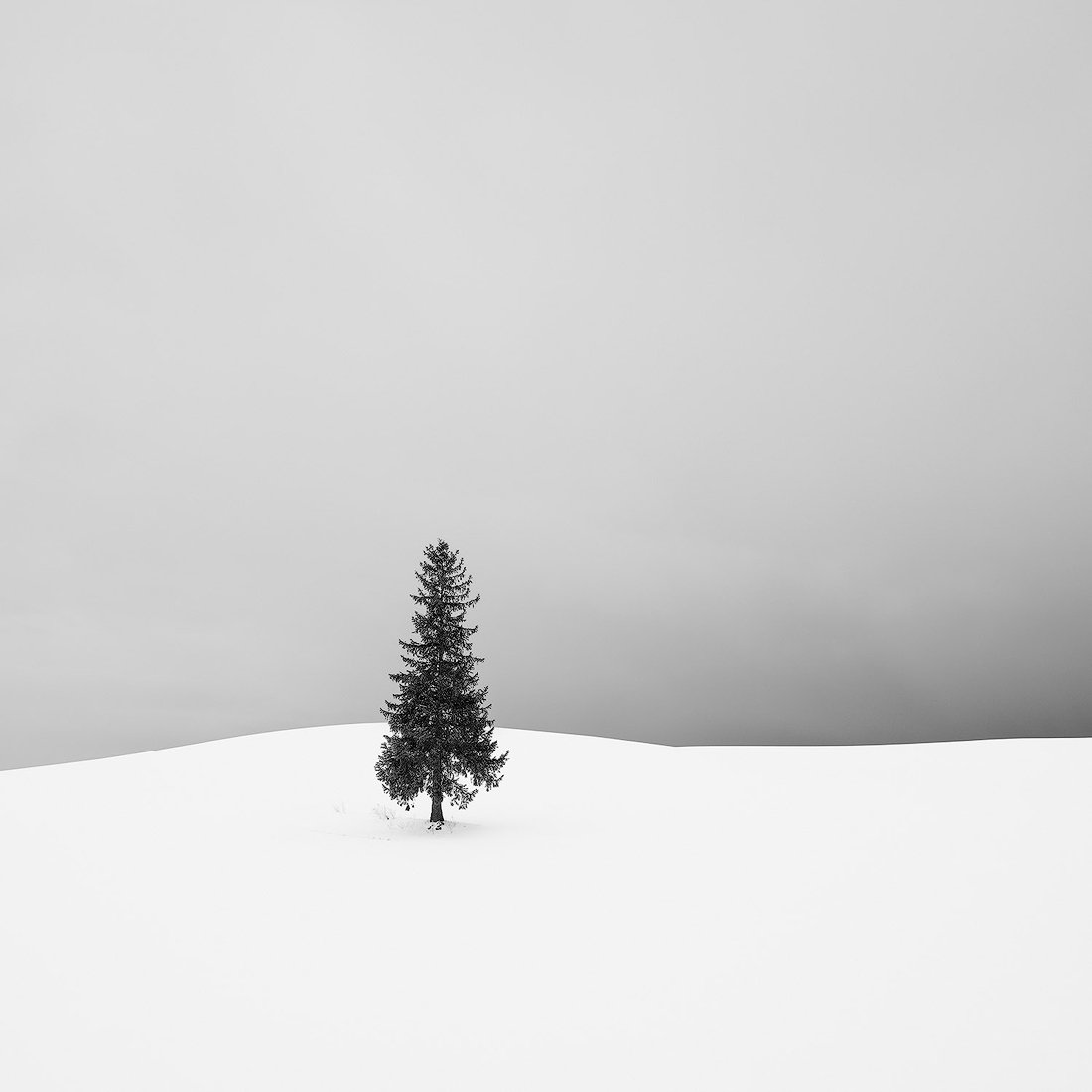 SNOWY HOLIDAY.1100PX.jpg