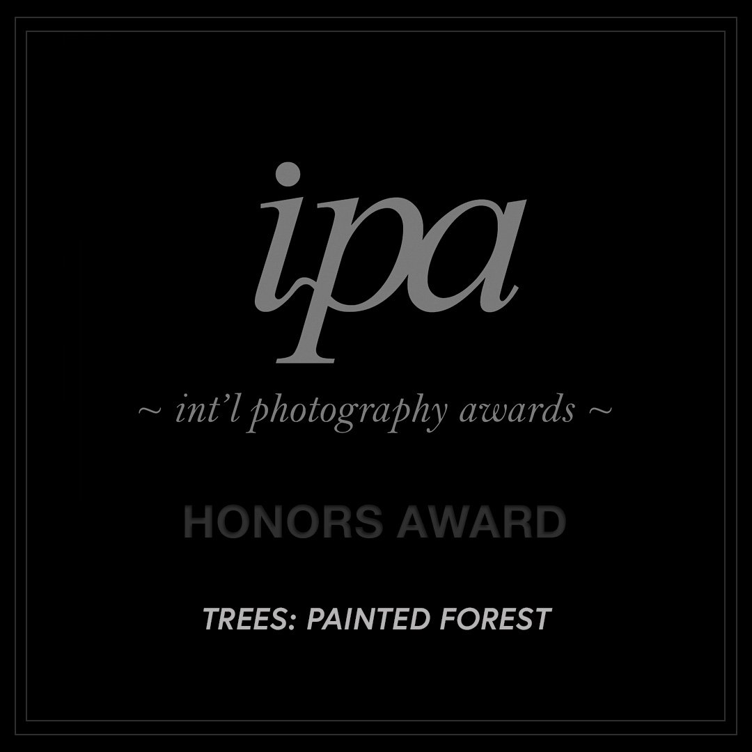 IPA 2013 HONORS-2.jpg