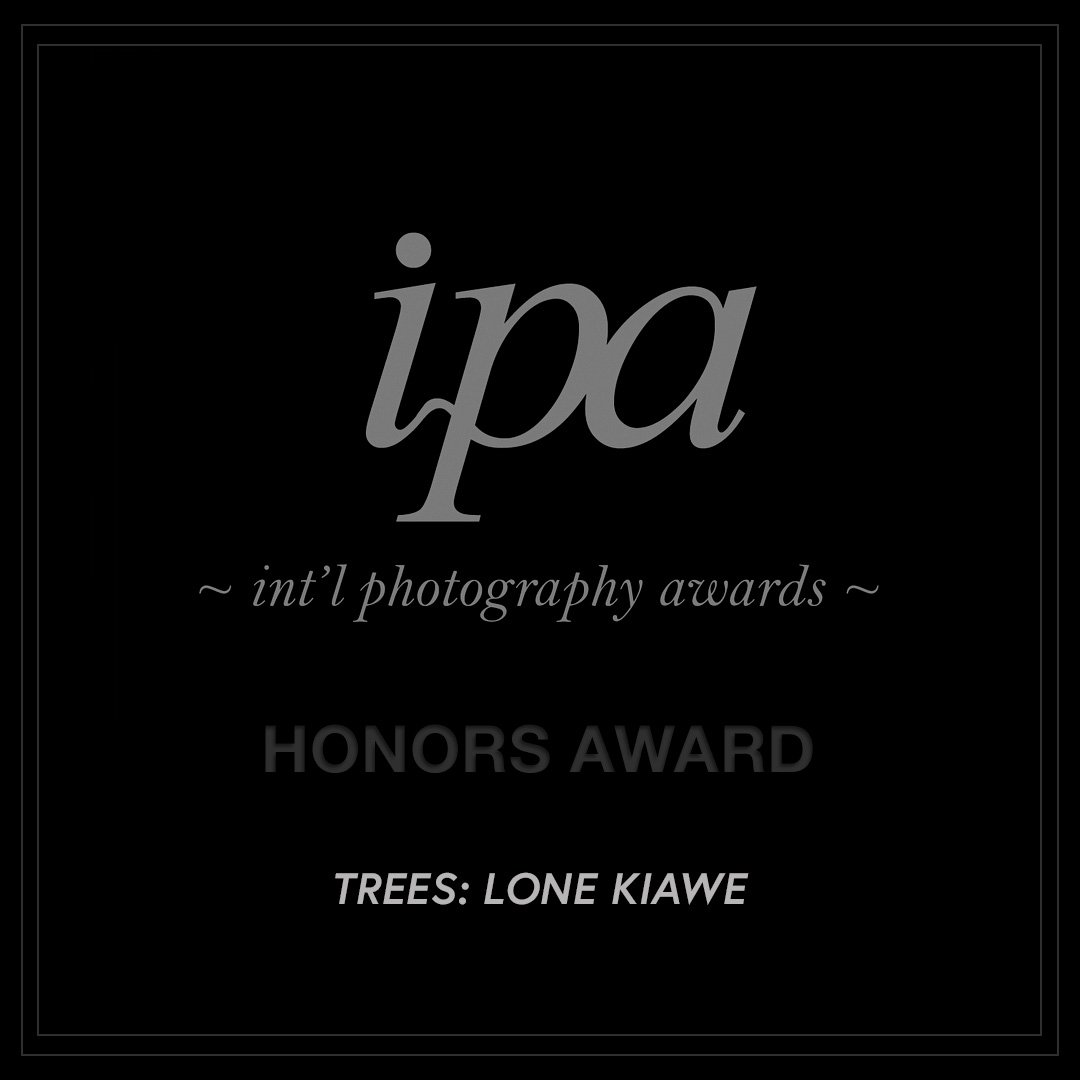 IPA 2013 HONORS-3.jpg