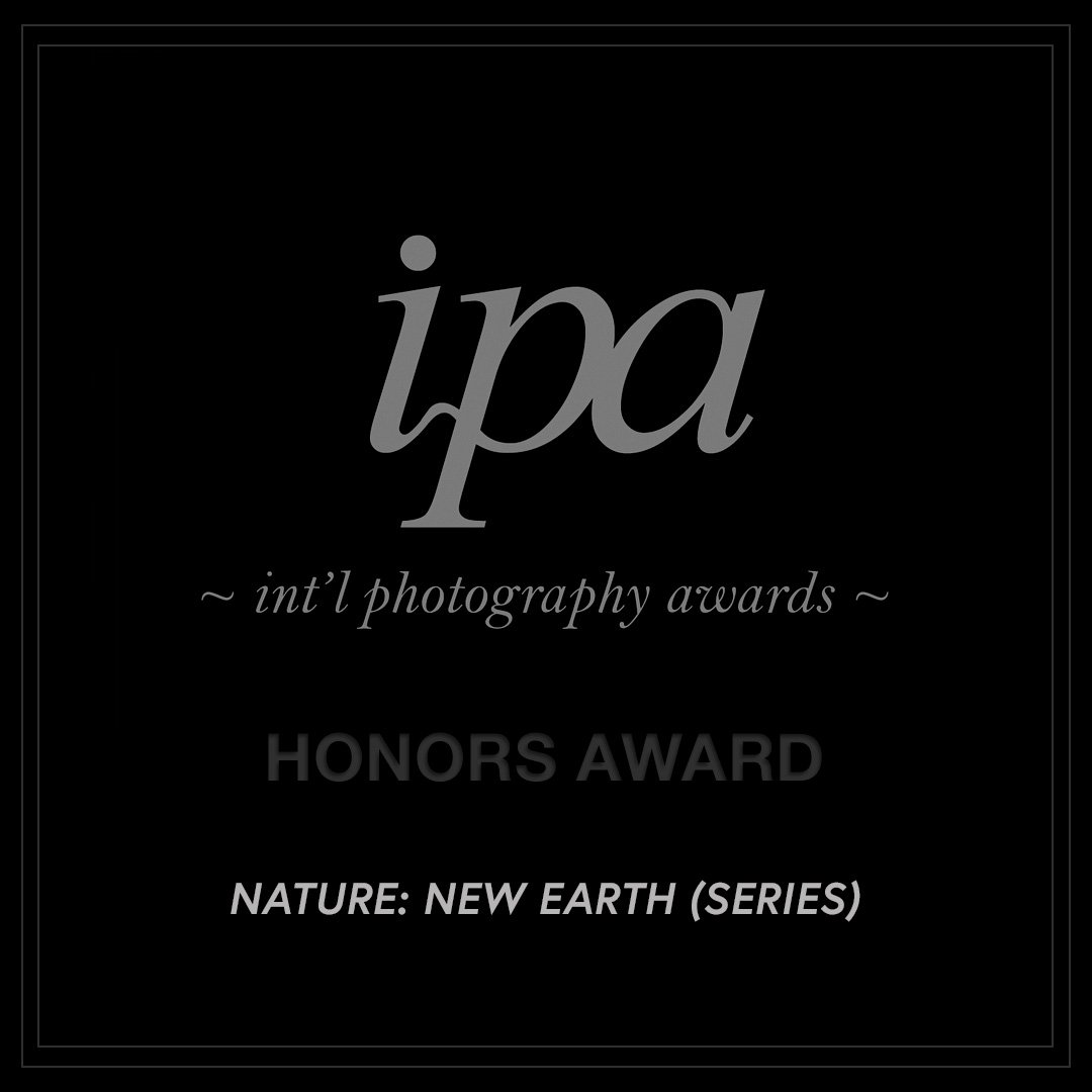 IPA 2013 HONORS-5.jpg