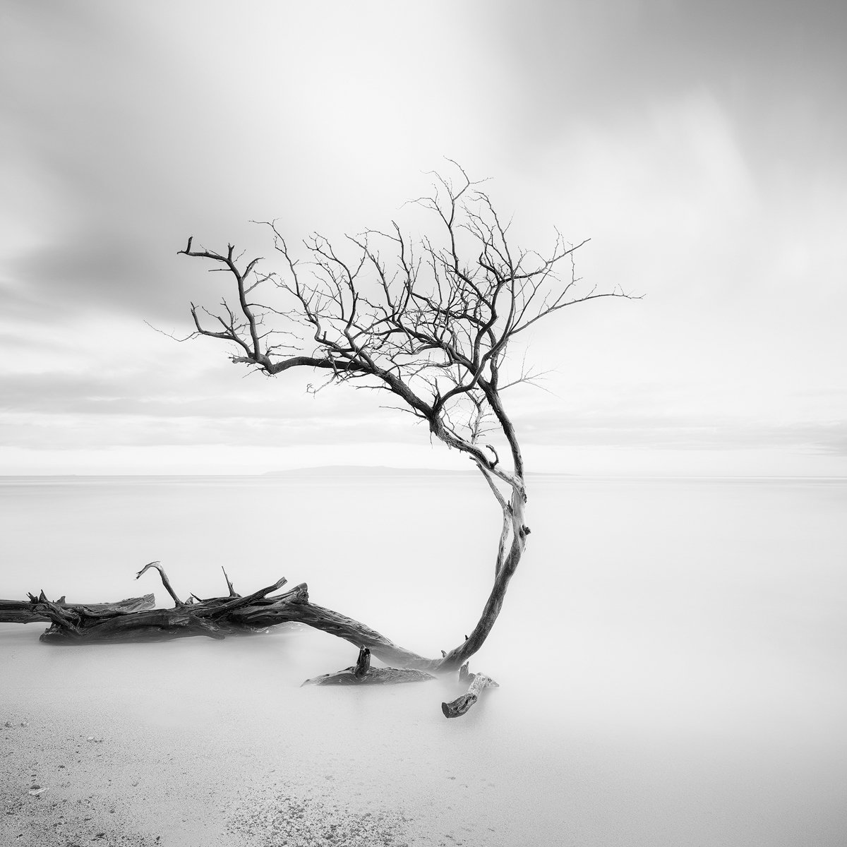 LONE KIAWE.LG-1200.jpg