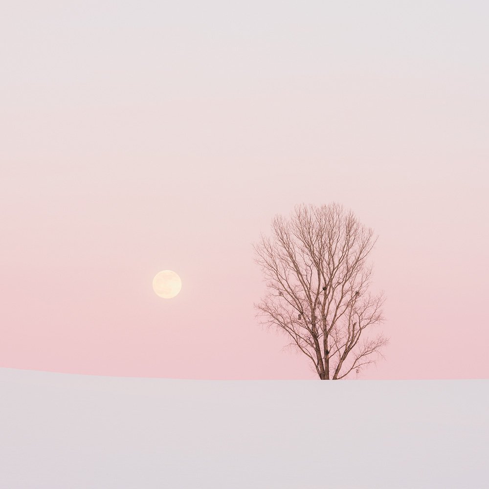 MOONRISE OVER HOKKAIDO.1000PX.jpg