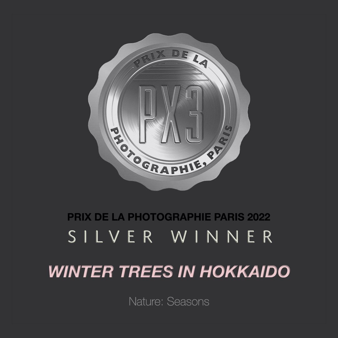 PX3 2022 AWARD_HOKKAIDO TREES.jpg