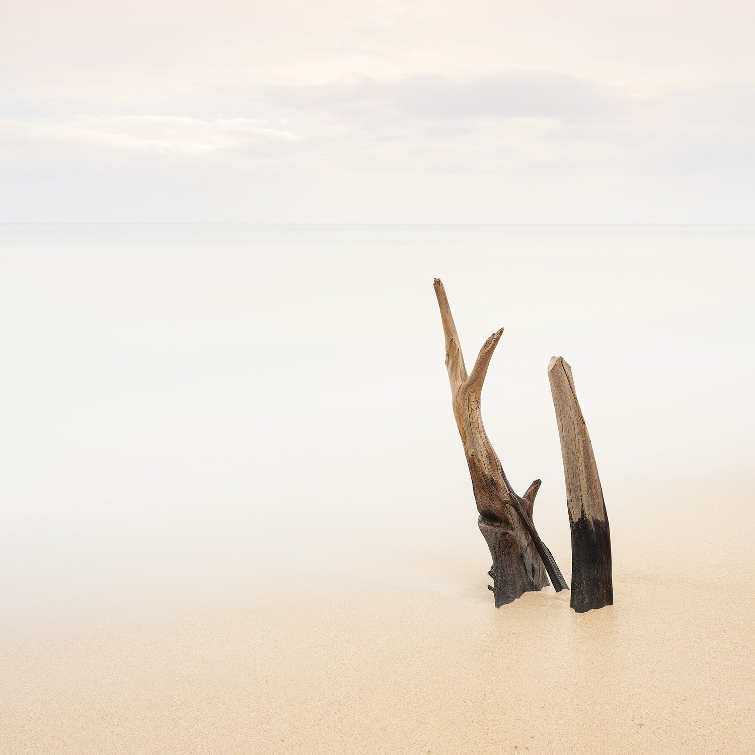 BETWEEN HEAVEN AND EARTH.1500PX.jpg