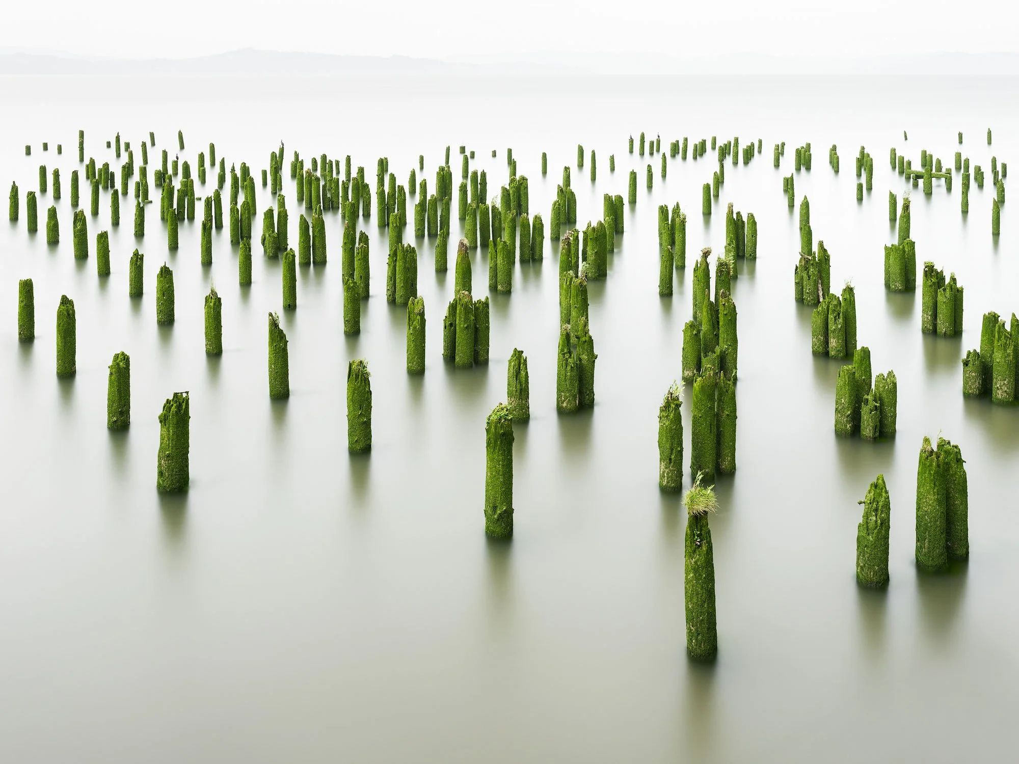 GREEN GUARD