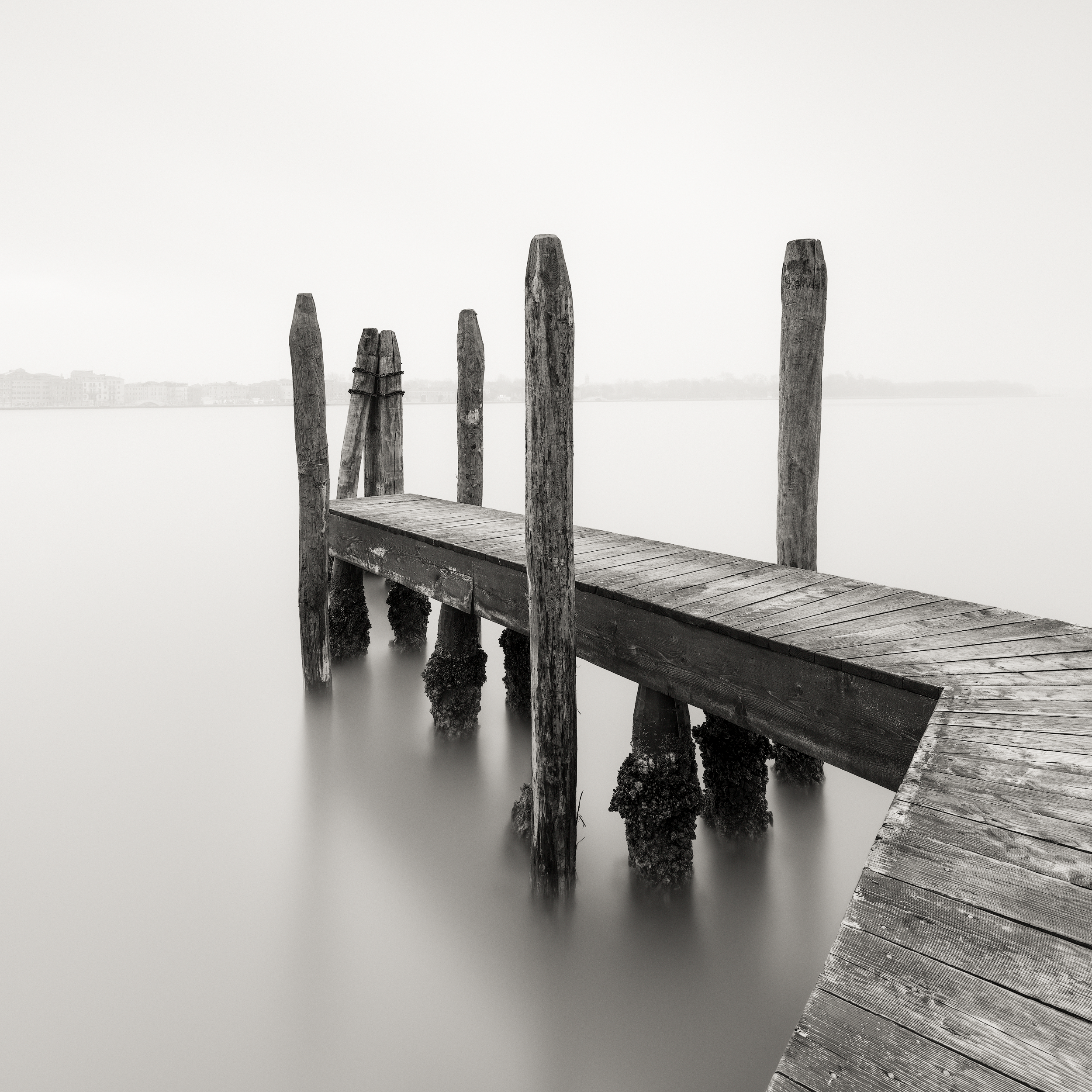 WHISPERS-OF-THE-SEA.2500PX-GR.png