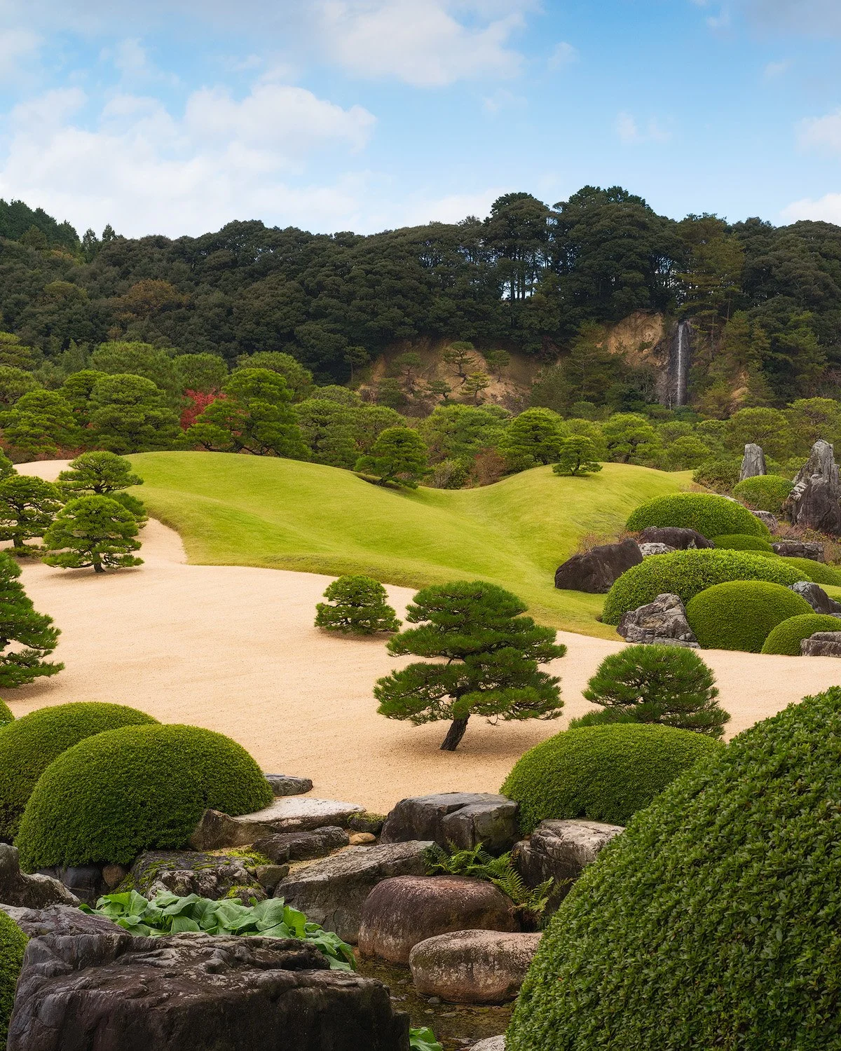 ADACHIS GARDEN.1500PX.jpg