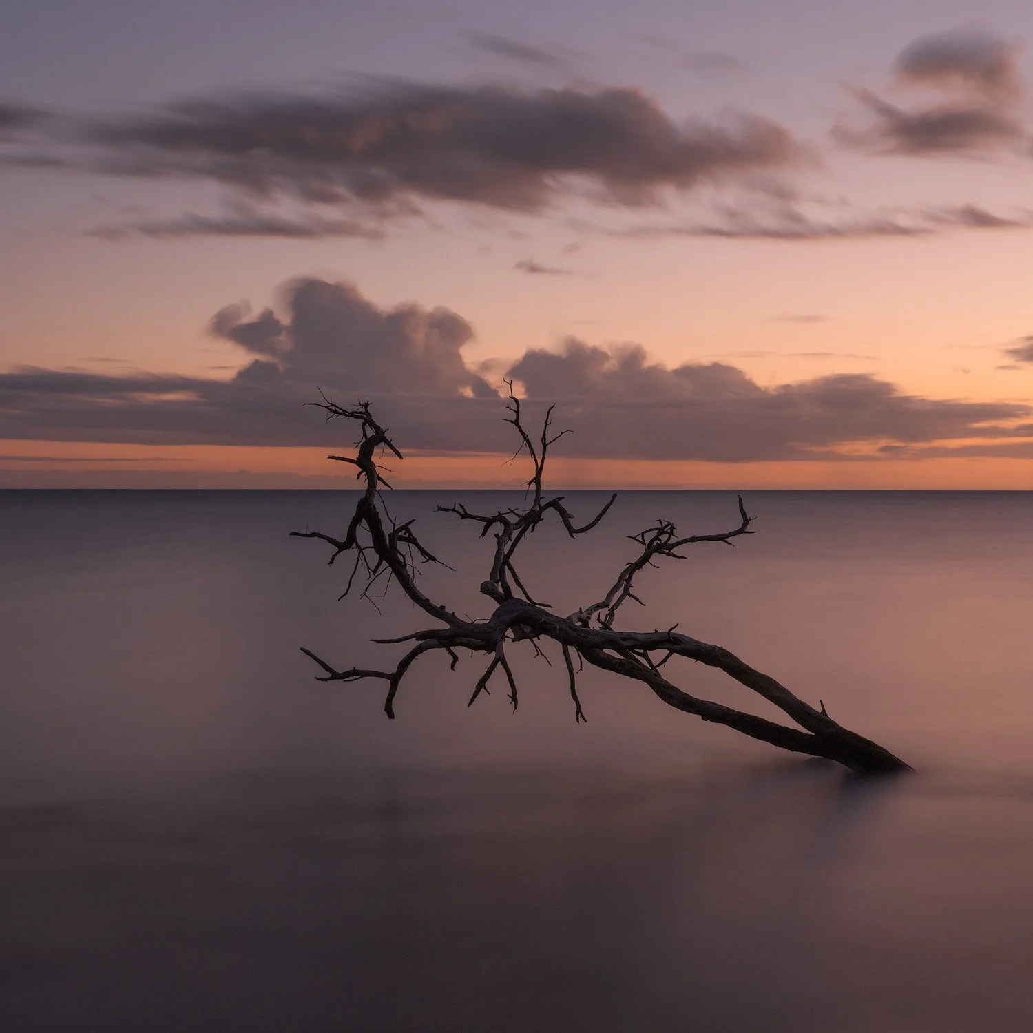 LAST LIGHT.1500PX.jpg