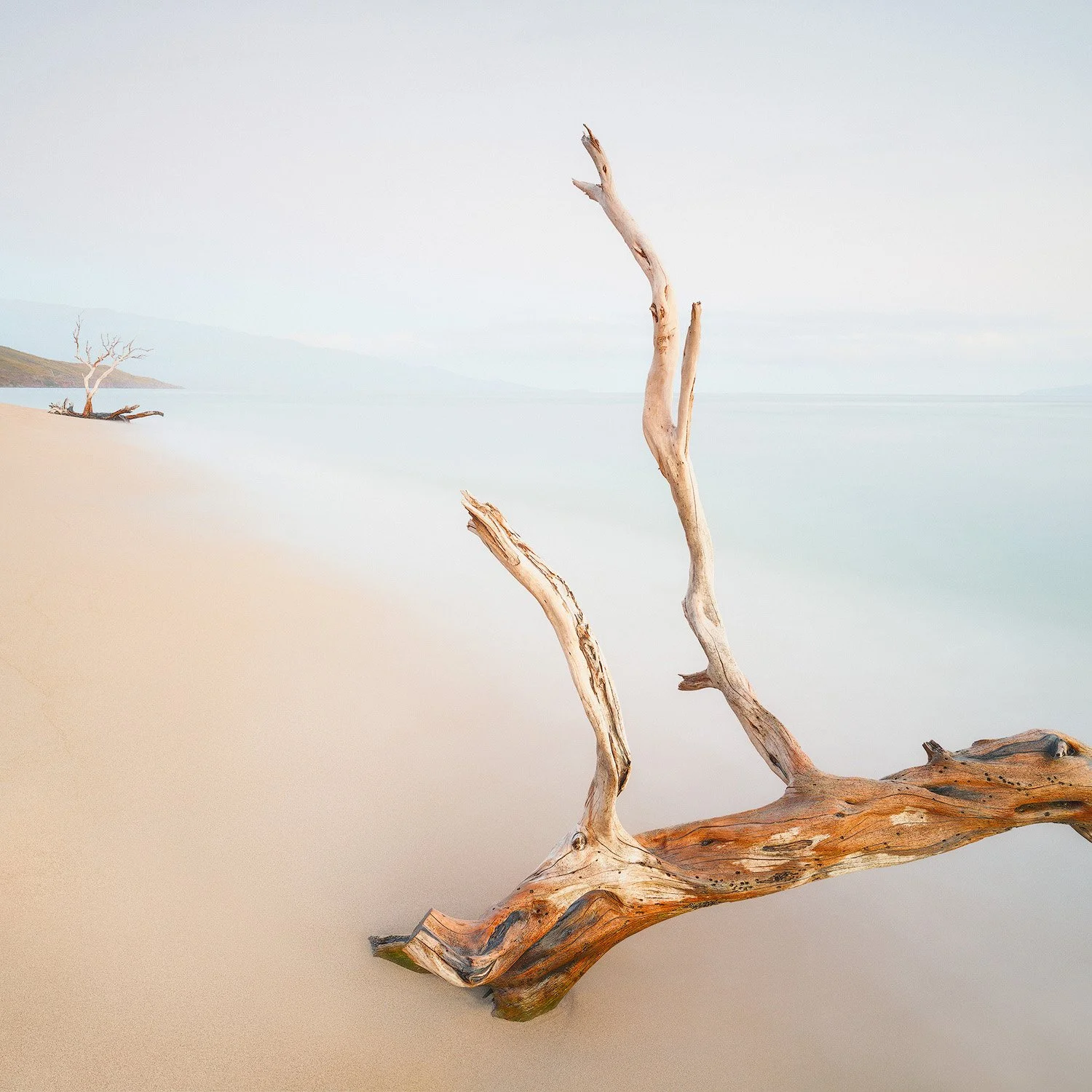 FROM FORM TO FORMLESSNESS.1500PX.jpg