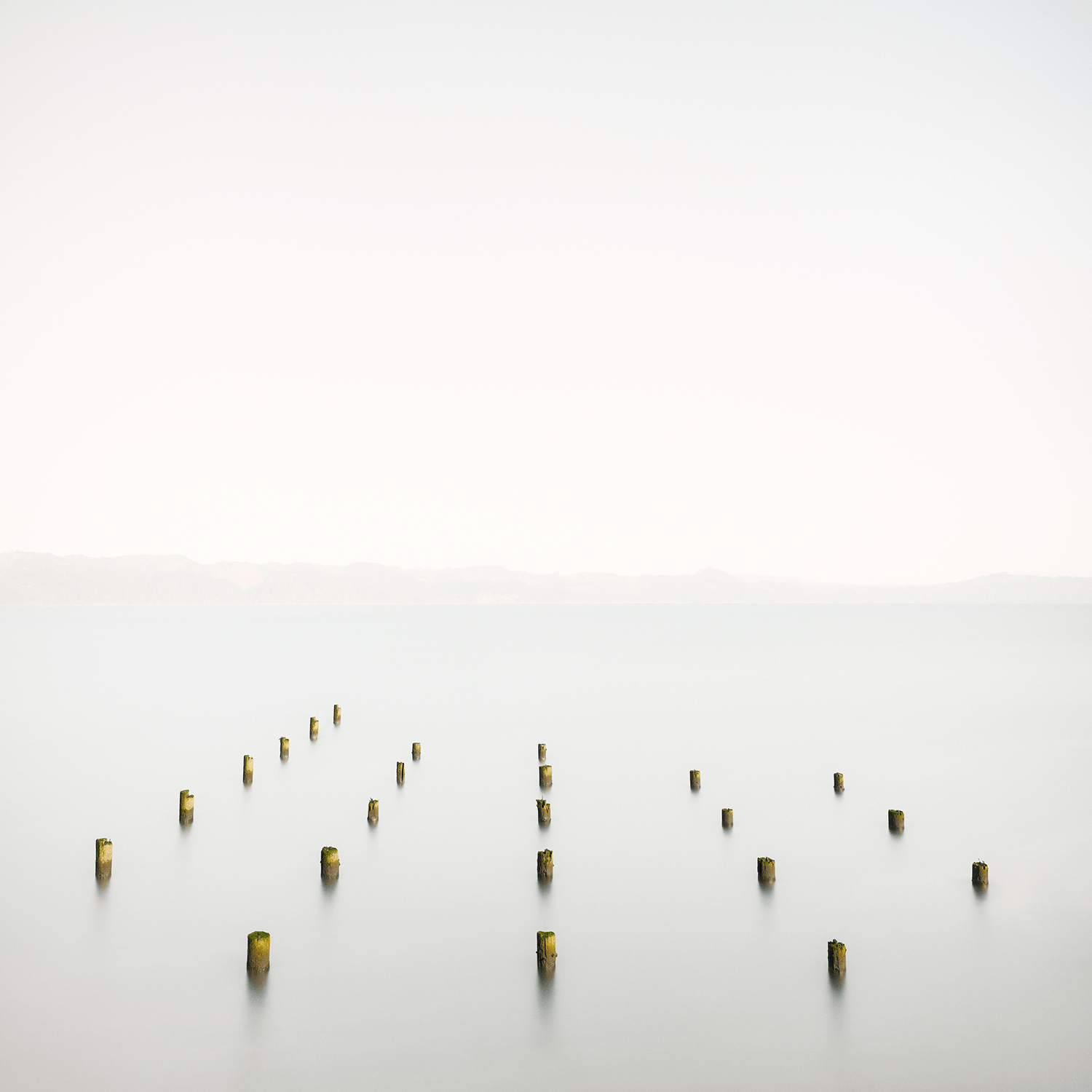 stillness-speaks-oregon-poles-long-exposure.png