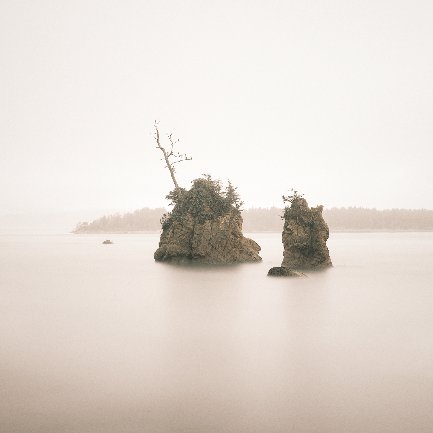 stillness-speaks-minimal-island-soft-water.png