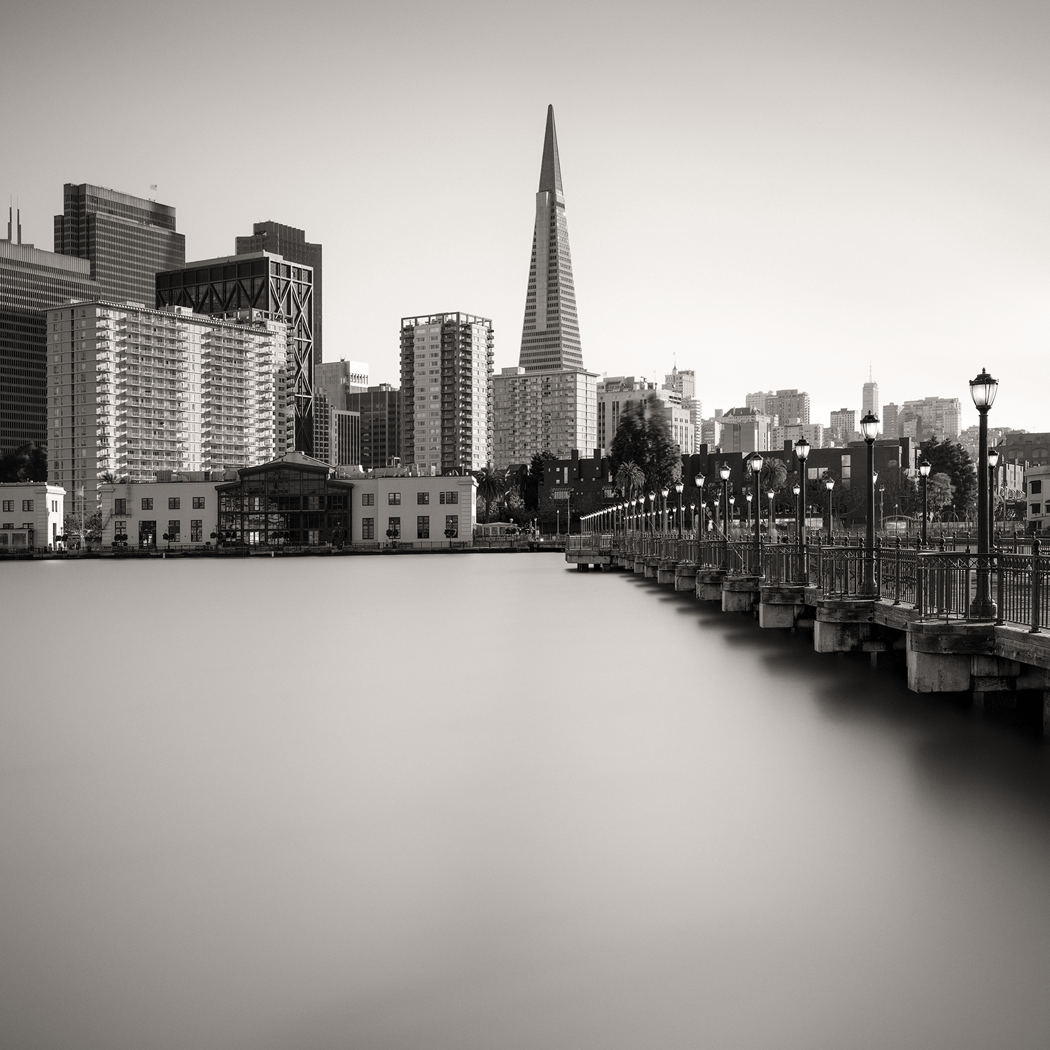 fog-city-cityscape-pier-transamerica.png