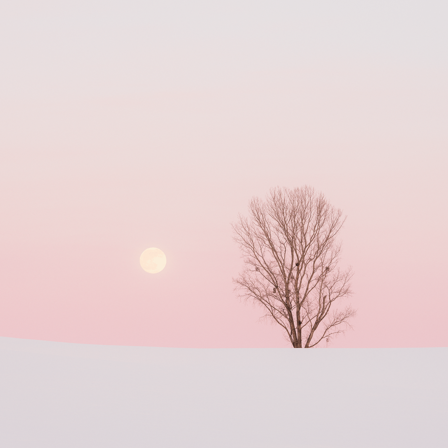 stillness-speaks-moonrise-snowy-hokkaido.png