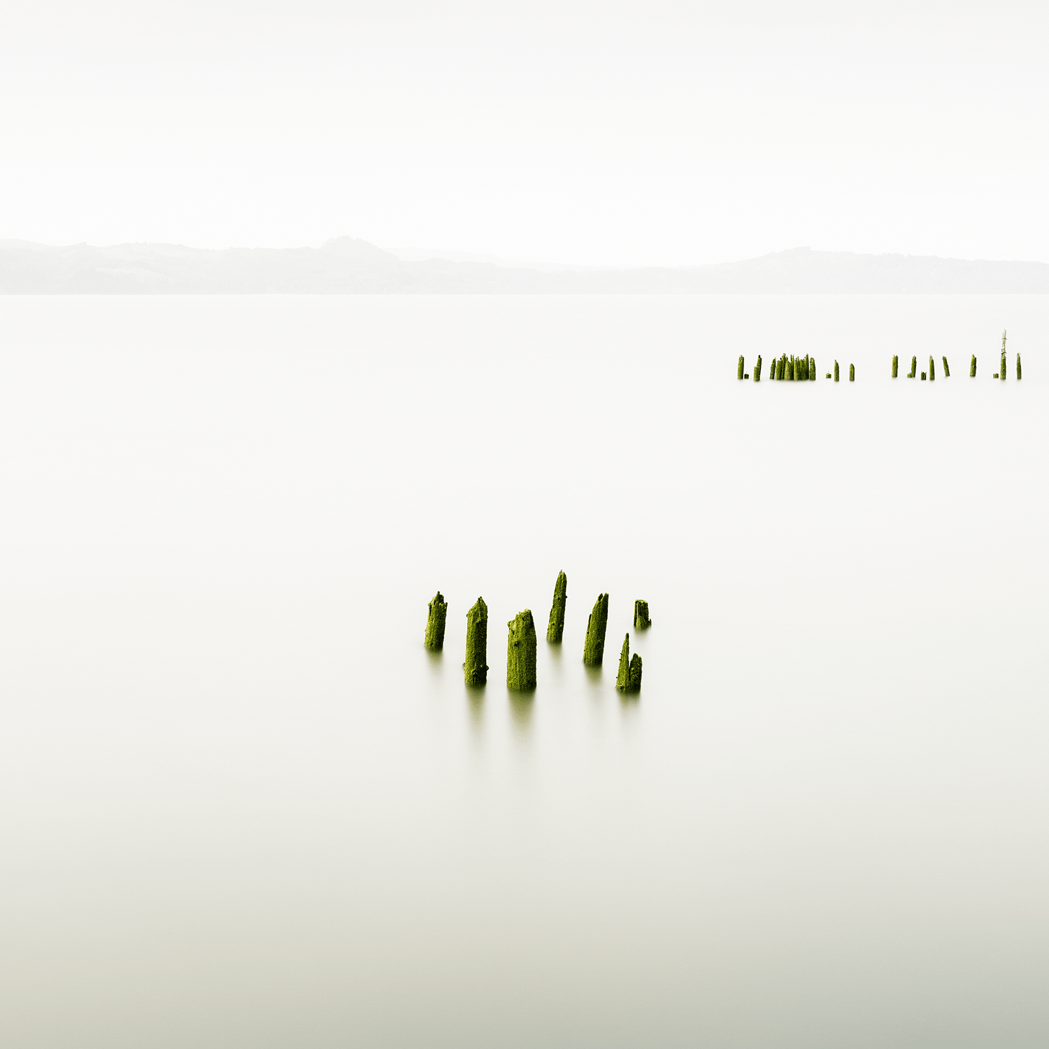 stillness-speaks-smooth-waters-mossy-poles.png