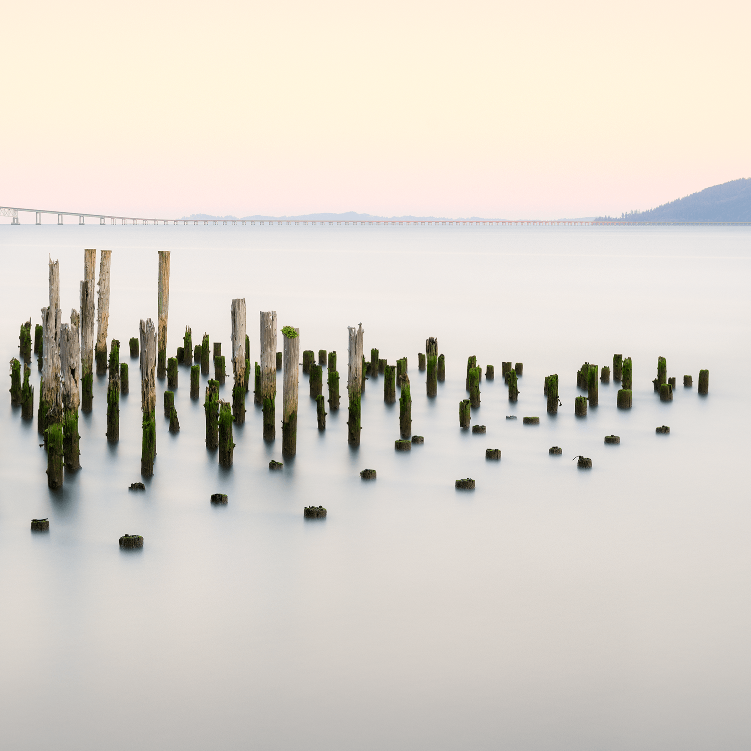 stillness-speaks-smooth-waters-mossy-poles-bridge.png