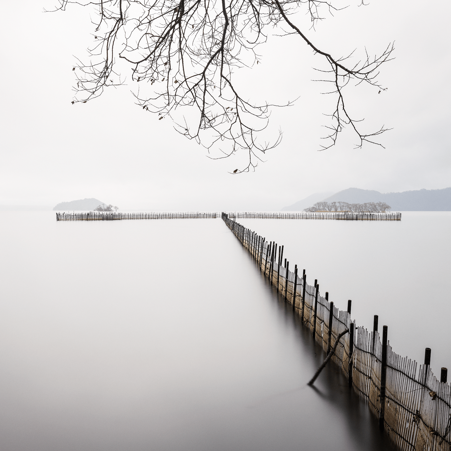 stillness-speaks-smooth-waters-fishing-net-tree.png